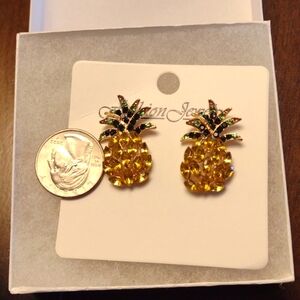🍍 Earrings. NWOT